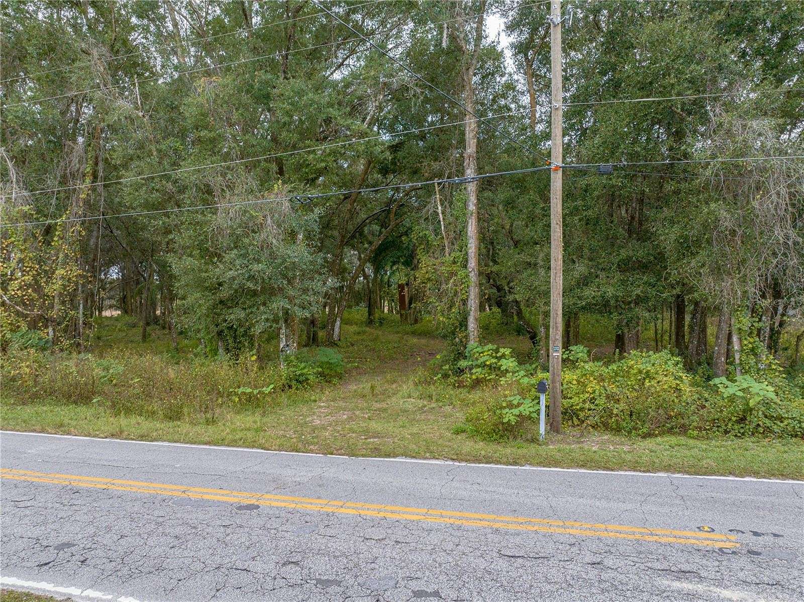 24 Acres of Land for Sale in Dade City, Florida