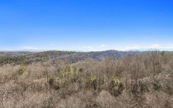 3 Acres of Residential Land for Sale in Blue Ridge, Georgia