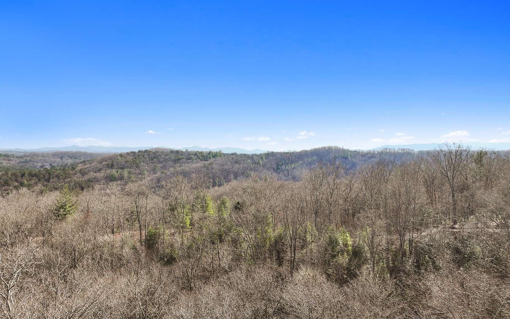 3 Acres of Residential Land for Sale in Blue Ridge, Georgia