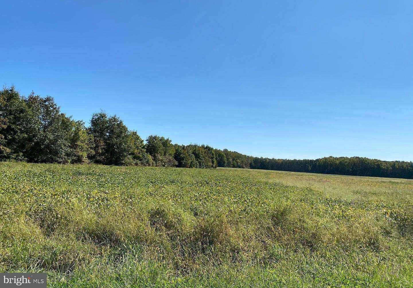42 Acres of Recreational Land for Sale in Clayton, Delaware