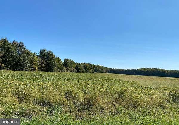 42 Acres of Recreational Land for Sale in Clayton, Delaware