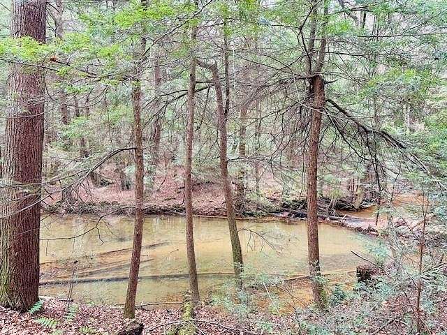 50 Acres of Land for Sale in Lucinda, Pennsylvania