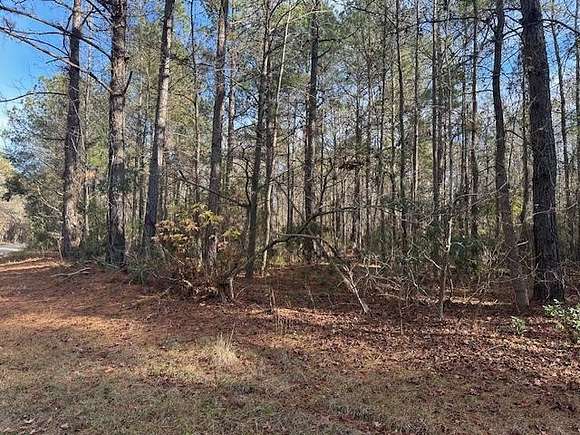 14.4 Acres of Recreational Land for Sale in Summerton, South Carolina