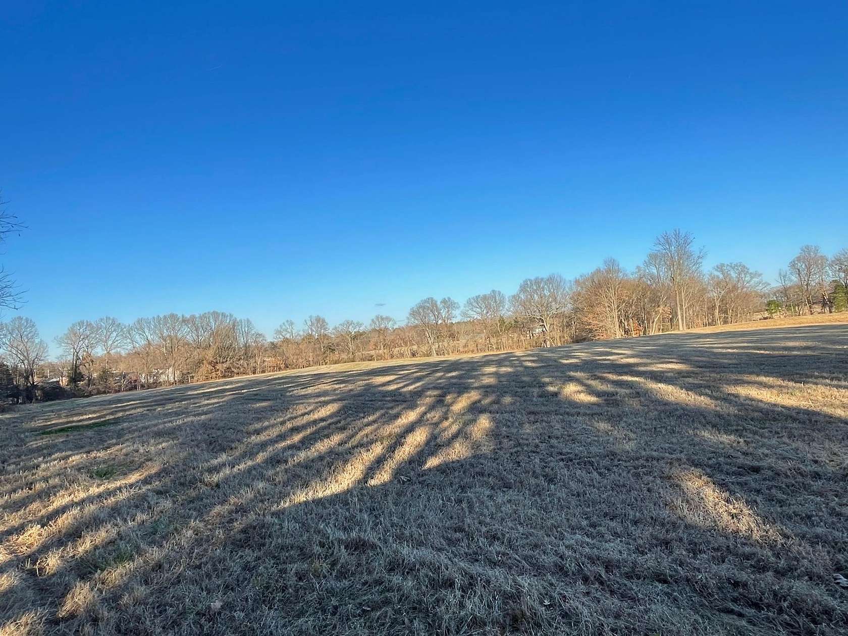 21.8 Acres of Agricultural Land for Sale in Jackson, Tennessee
