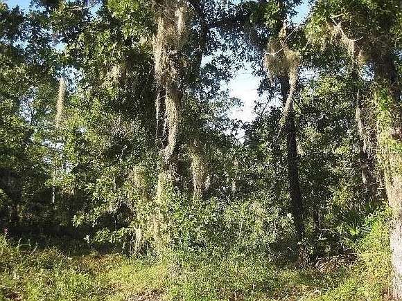 8 Acres of Residential Land for Sale in Perry, Florida