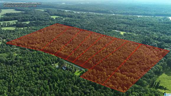 61.9 Acres of Agricultural Land for Sale in Ragland, Alabama