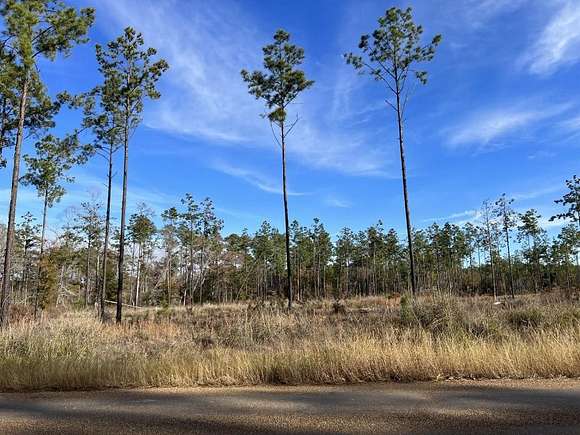 1 Acre of Residential Land for Sale in Brookeland, Texas
