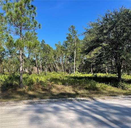 1 Acre of Residential Land for Sale in Georgetown, Florida