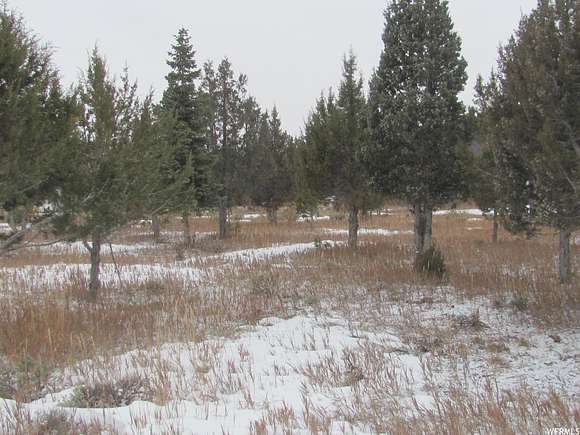1 Acre of Residential Land for Sale in Mount Pleasant, Utah