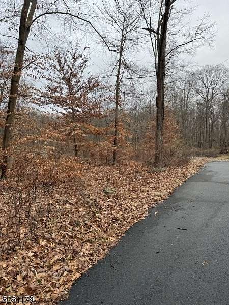 2 Acres of Residential Land for Sale in Byram Township, New Jersey