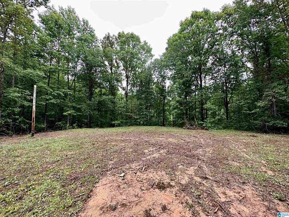 6.4 Acres of Land for Sale in Sylacauga, Alabama