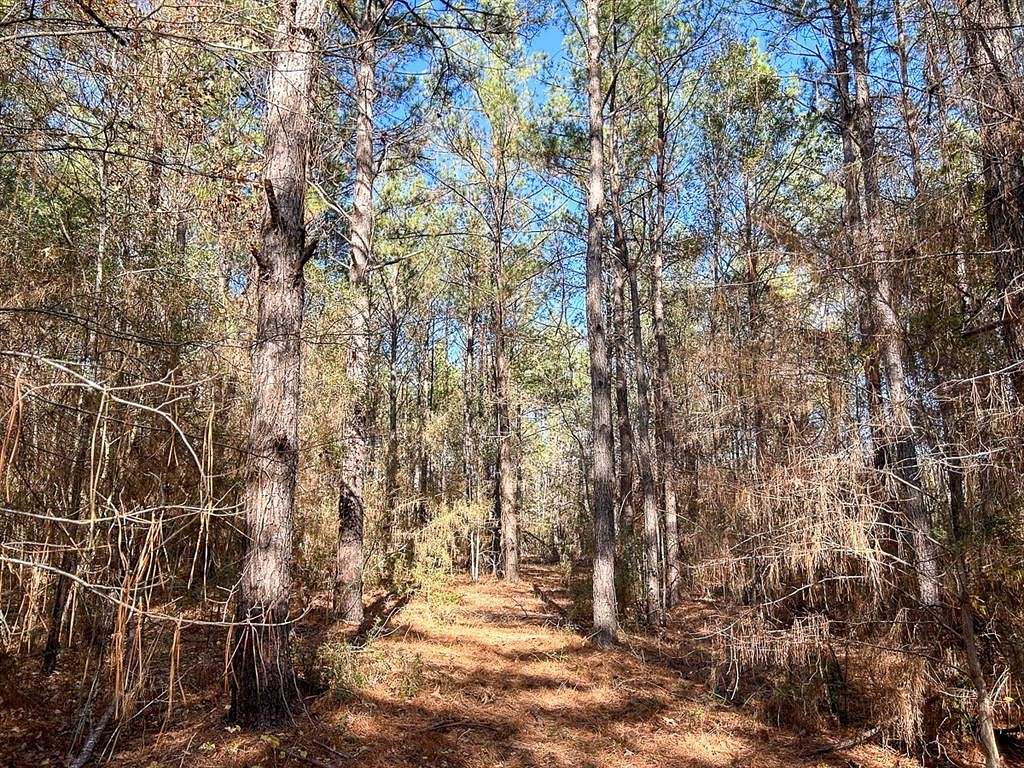 27.4 Acres of Land for Sale in Lufkin, Texas