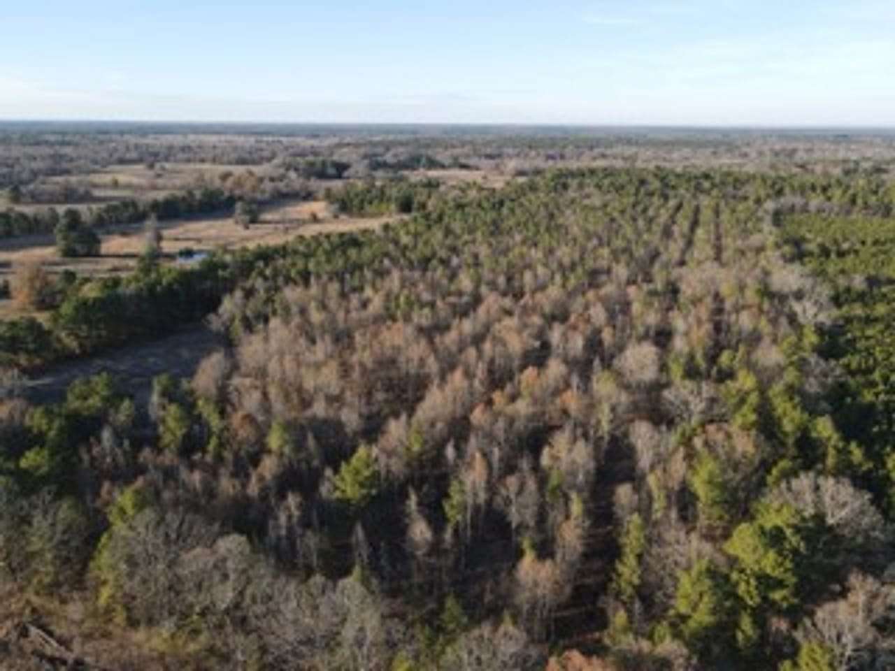 35.73 Acres of Recreational Land for Sale in Bagwell, Texas