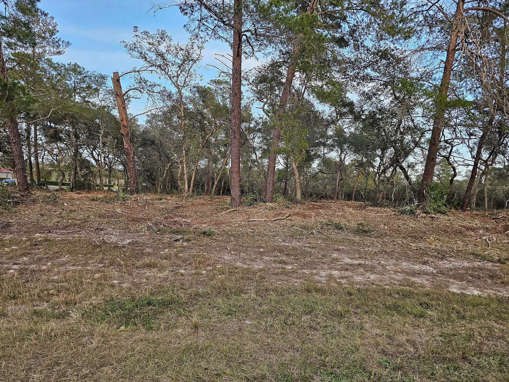 1 Acre of Land for Sale in Ocala, Florida