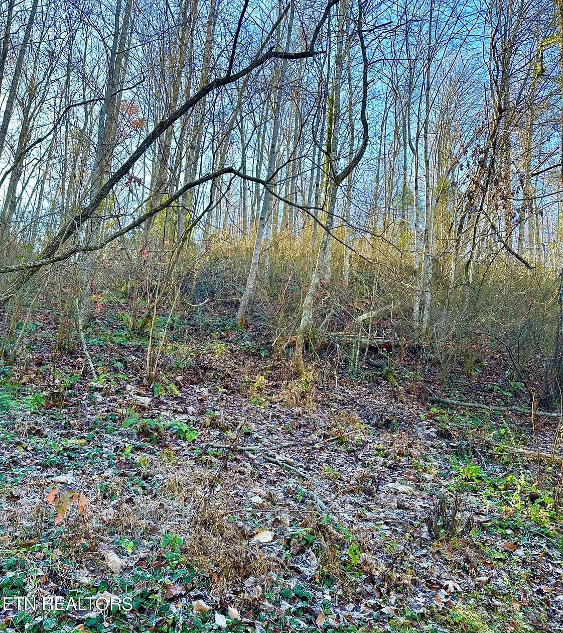 0.31 Acres of Residential Land for Sale in Gatlinburg, Tennessee