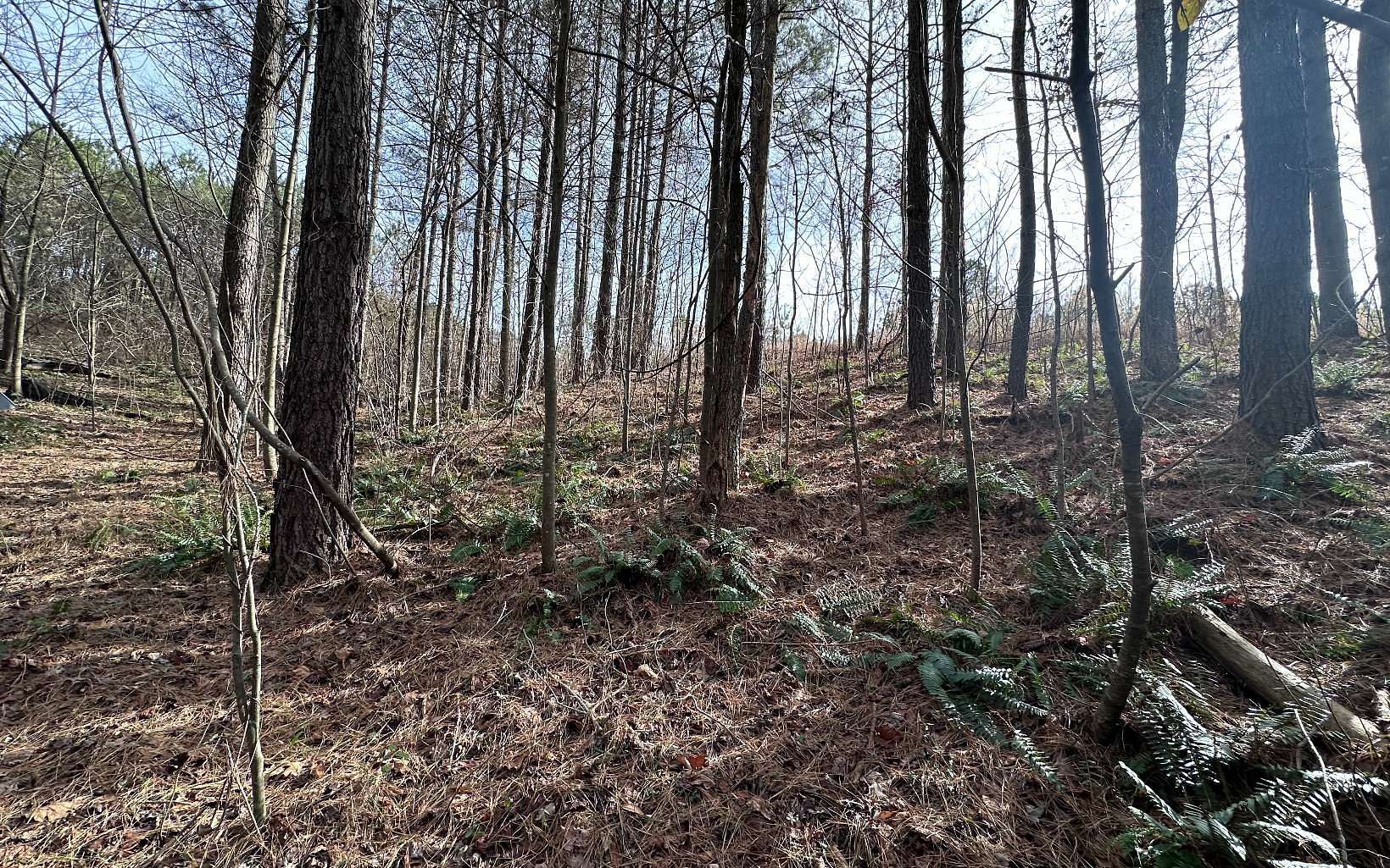 1.8 Acres of Residential Land for Sale in Ellijay, Georgia