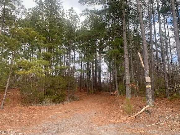 107 Acres of Land for Sale in Courtland, Virginia