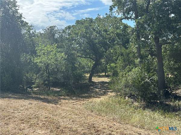 24 Acres of Recreational Land & Farm for Sale in Luling, Texas
