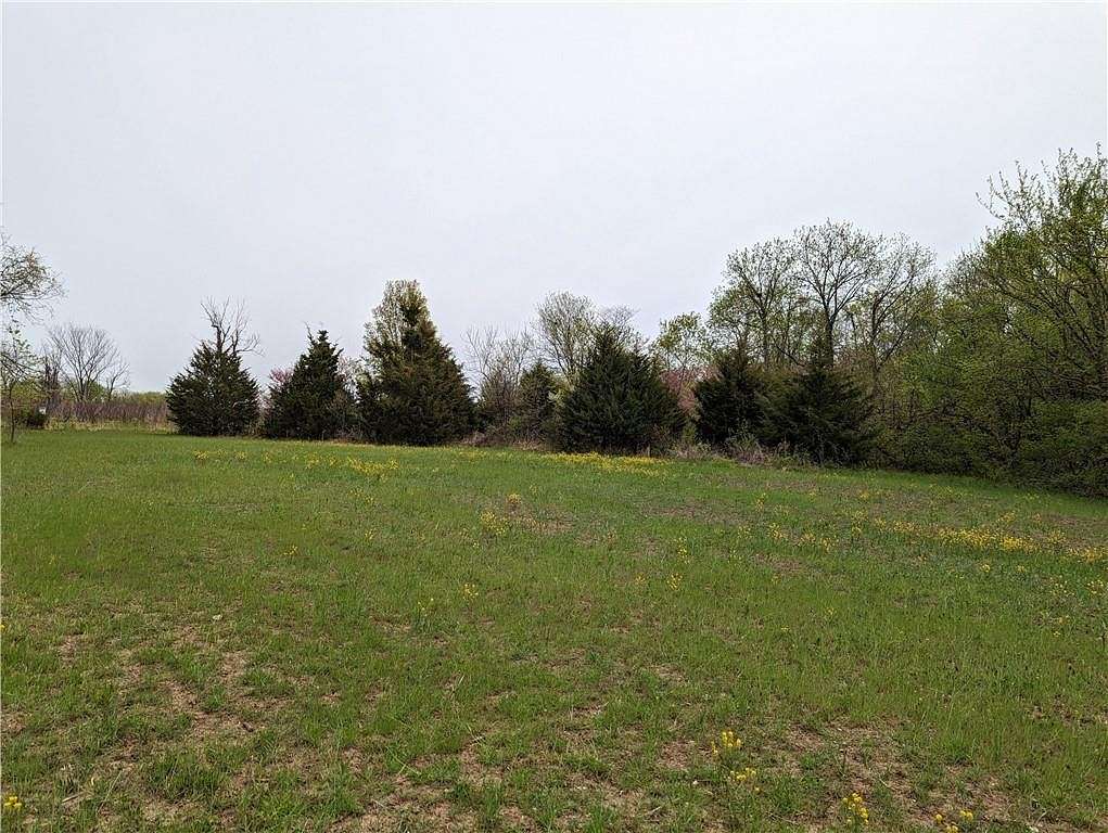 40 Acres of Land for Sale in Drexel, Missouri