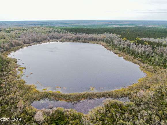 320 Acres of Recreational Land for Sale in Marianna, Florida