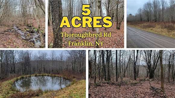 5.3 Acres of Land for Sale in Franklin, New York