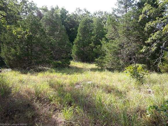 20 Acres of Commercial Land for Sale in Vian, Oklahoma
