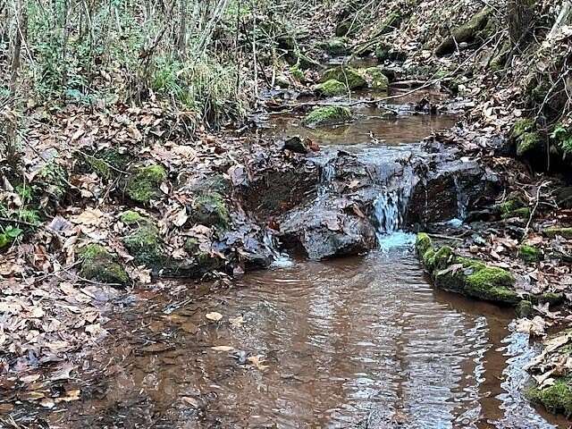 59.5 Acres of Recreational Land for Sale in Englewood, Tennessee