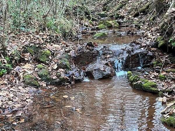 59.5 Acres of Recreational Land for Sale in Englewood, Tennessee