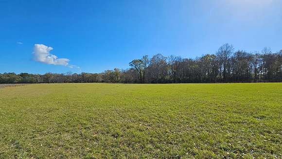 6.1 Acres of Residential Land for Sale in Ashford, Alabama