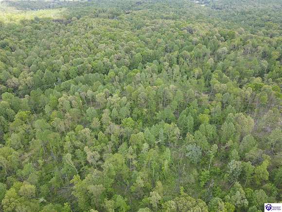 53 Acres of Land for Sale in Bonnieville, Kentucky