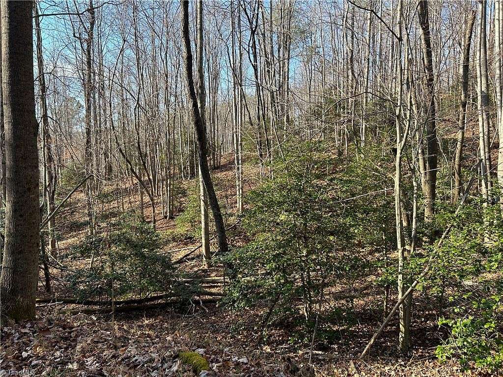 33.8 Acres of Recreational Land for Sale in Mount Airy, North Carolina