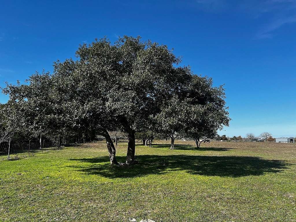 12 Acres of Agricultural Land for Sale in Muldoon, Texas