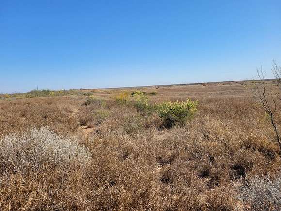10 Acres of Land for Sale in Laredo, Texas