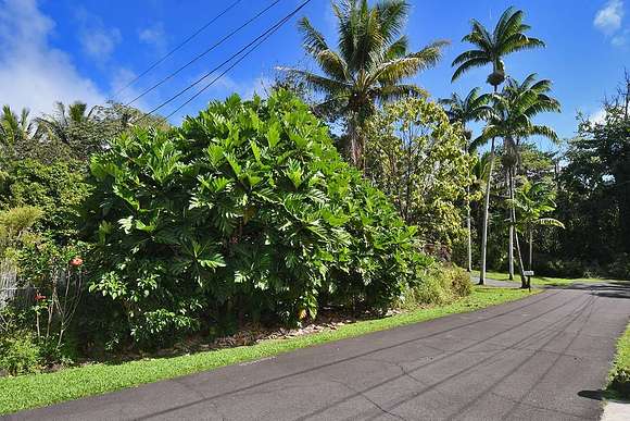 0.2 Acres of Residential Land for Sale in Pahoa, Hawaii
