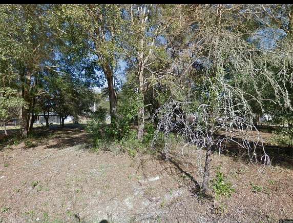 1 Acre of Residential Land for Sale in Fanning Springs, Florida