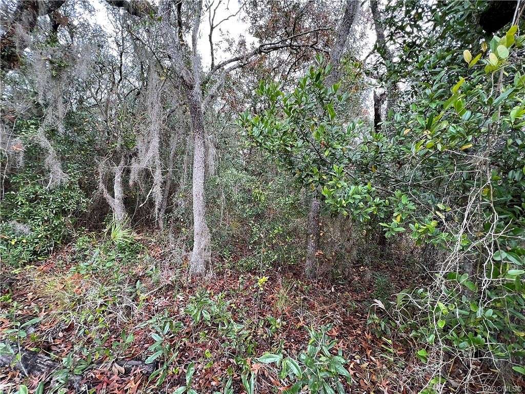 0.51 Acres of Residential Land for Sale in Crystal River, Florida