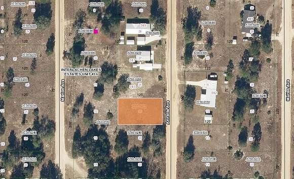 0.22 Acres of Residential Land for Sale in Interlachen, Florida