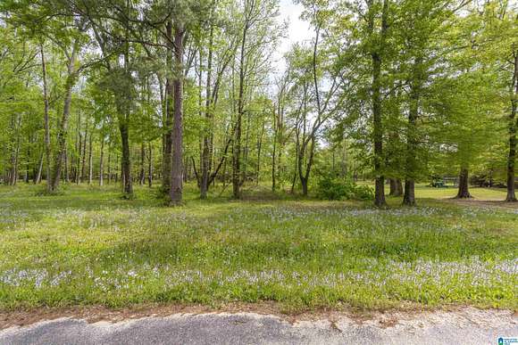 1.2 Acres of Residential Land for Sale in Clanton, Alabama