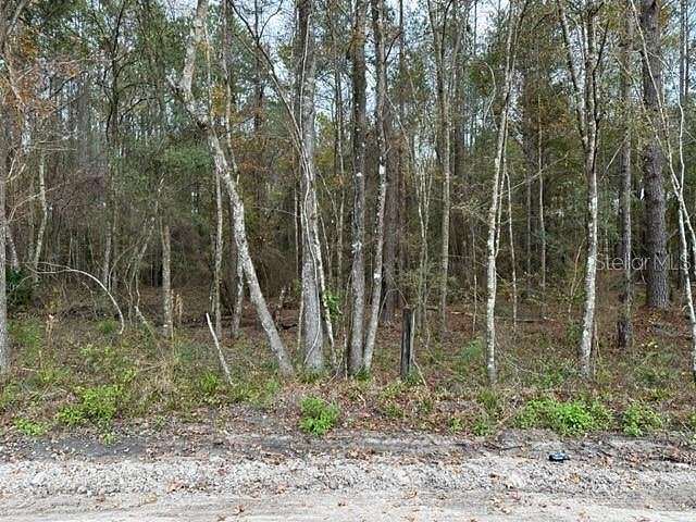 10 Acres of Land for Sale in Lake City, Florida