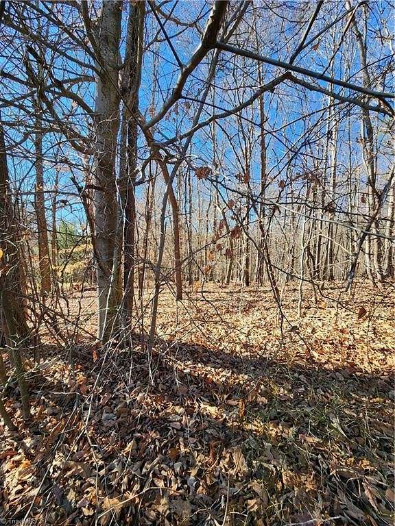 2.7 Acres of Residential Land for Sale in Ronda, North Carolina