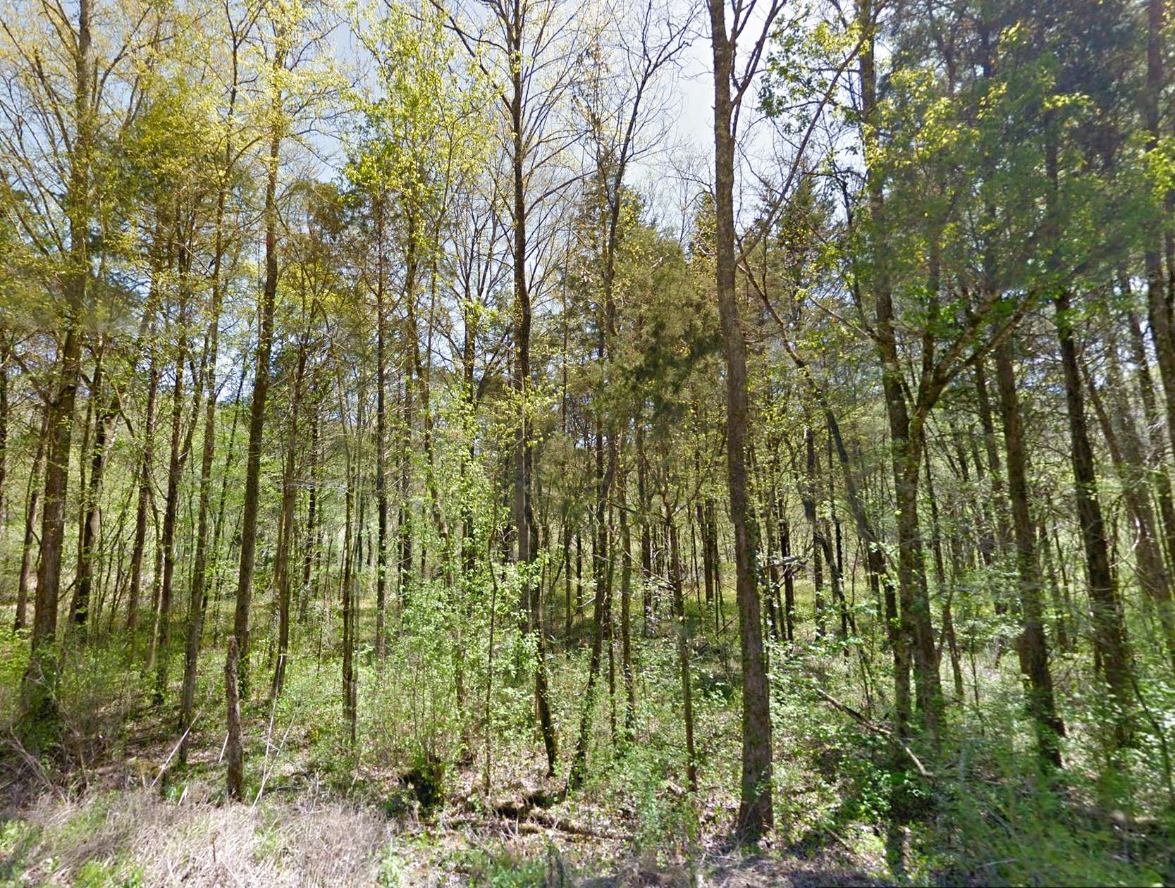 1.3 Acres of Residential Land for Sale in Scottsboro, Alabama