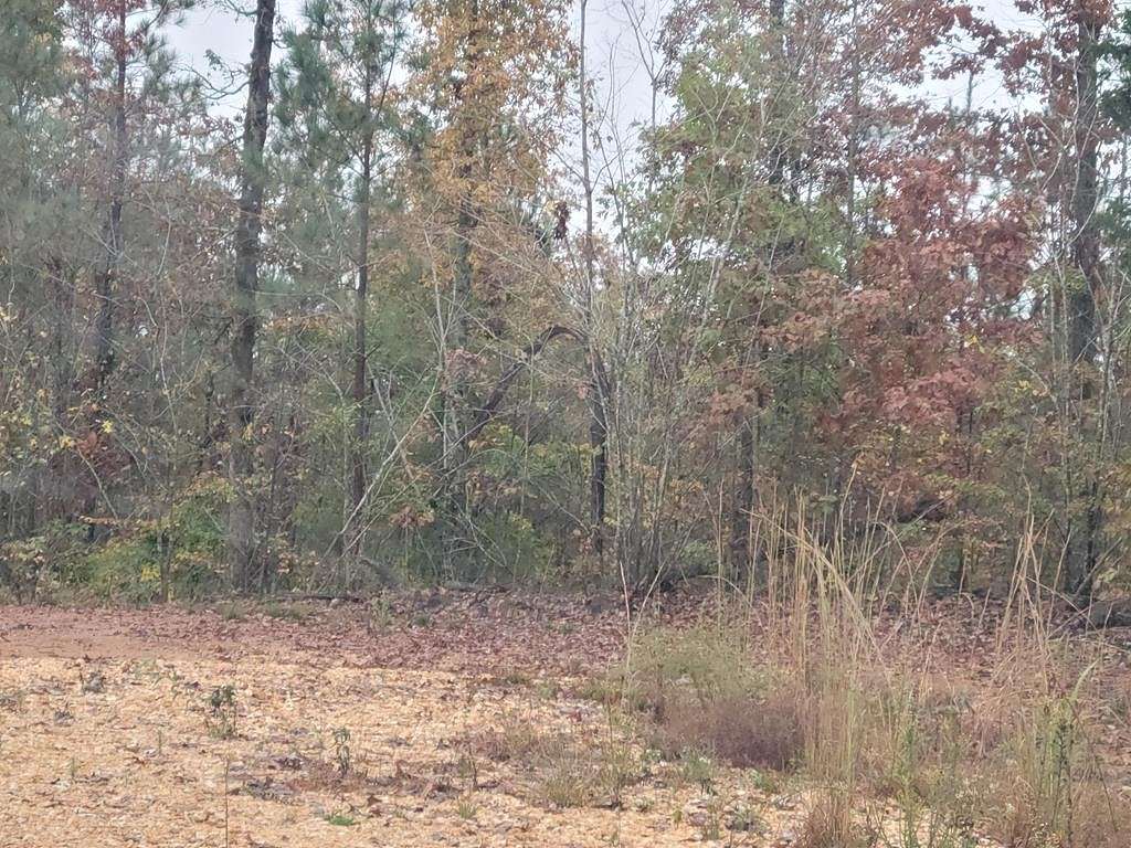 26.1 Acres of Land for Sale in Camden, Tennessee