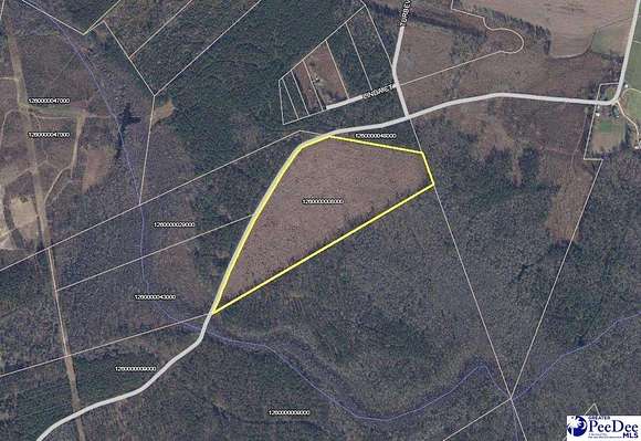 45.7 Acres of Recreational Land for Sale in Marion, South Carolina