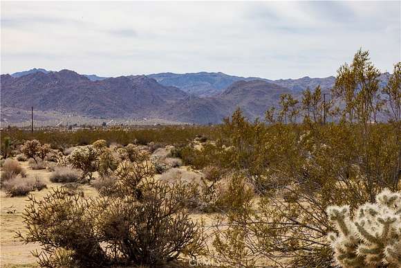 5 Acres of Improved Residential Land for Sale in Joshua Tree, California