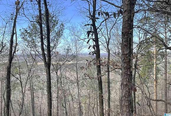 2 Acres of Residential Land for Sale in Pelham, Alabama