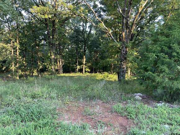 0.51 Acres of Residential Land for Sale in Lindale, Texas