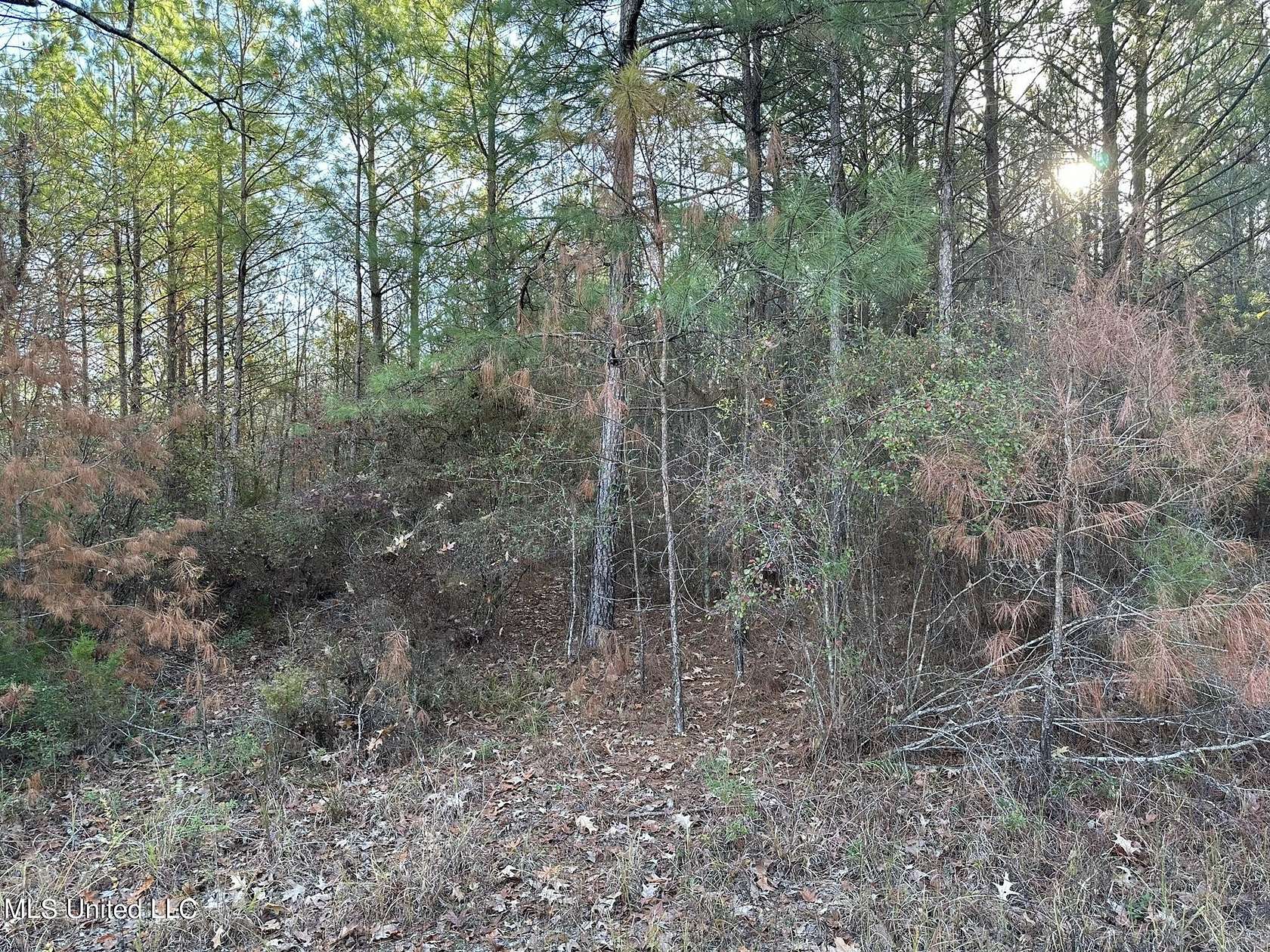 13.8 Acres of Land for Sale in Wesson, Mississippi