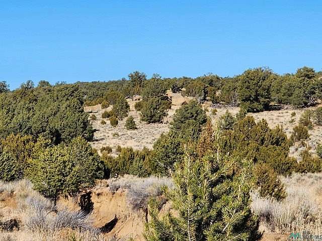 42 Acres of Recreational & Residential Land for Sale in Pie Town, New Mexico