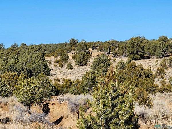 42 Acres of Recreational & Residential Land for Sale in Pie Town, New Mexico