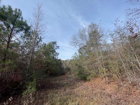 14 Acres of Land for Sale in Magnolia, Mississippi